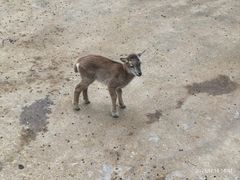-广东茂名森林公园