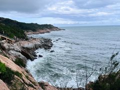 -广东惠东海龟国家级自然保护区
