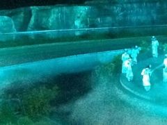 -鼎盛王朝康熙大典实景演出