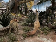 -湖南省地质博物馆