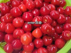 -樱桃山旅游景区