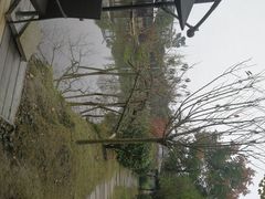 -洪湖家庭农场·团建·露营·会议