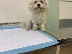 -天津前进宠物医院(前进道店)