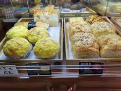 -向阳松鼠(江口店)