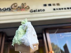 -柠檬车露(卖草地店)