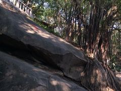 iphone_upload_pic-乌山风景区