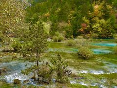-九寨沟-树正沟