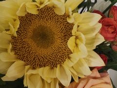 -花屿鲜花(淡水店)