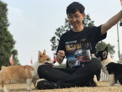 -良成狗狗乐园