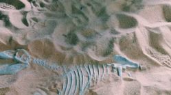 -恐龙探索乐园(磁器口店)