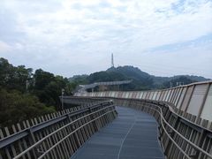 -福道