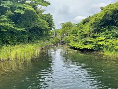 -济州森林小火车生态公园