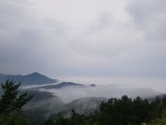 -武陵山森林公园