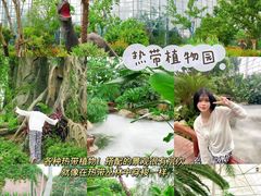 -祥源·阜阳生态乐园