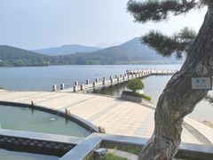 -松月湖大酒店