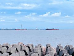 -上海滨江森林公园