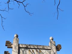 -广州神农草堂中医药博物馆