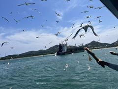 -海驴岛(荣成市)