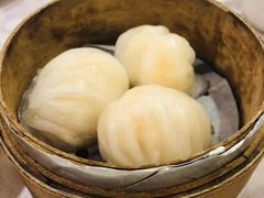 -天星港式饮茶(京星港式饮茶店)