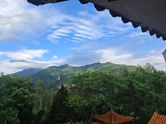 -深圳仙湖植物园