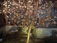 门面-绿茶餐厅(龙湖杭州金沙天街店)