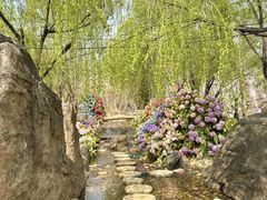 -沂蒙云瀑洞天景区