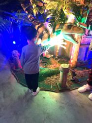 -恐龙探索乐园(磁器口店)