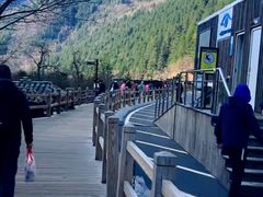 -九寨沟-树正沟