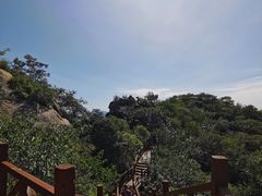 -大岭沟猕猴桃谷风景区