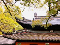 -普陀山风景名胜区-法雨禅寺