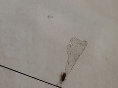 -北大学一食堂