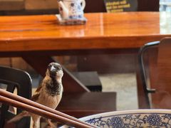 -King Made Noodles 金味德牛肉拉面