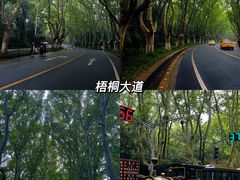 -音乐台