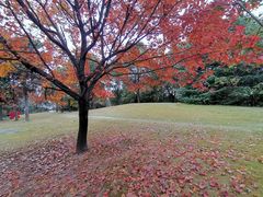 -上海月湖雕塑公园