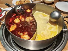-青瓷火锅料理(西单大悦城店)