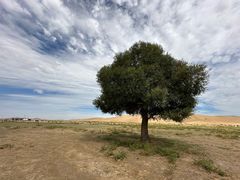 -亿利库布其七星湖沙漠生态旅游区