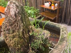 -三道苗苗鱼·美蛙黄辣丁(八里店)