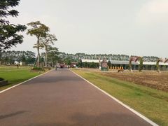 -迪茵湖田家舍生态农场