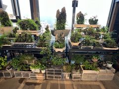 -川旺角融合菜•海景餐厅(星海广场店)