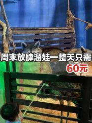 -酷嗒动物文化乐园(cutezoo西溪乐天城店)