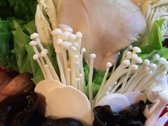 -额尔敦传统涮(公园西路店)