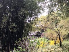 -汇龙潭
