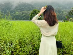 -广州市石门国家森林公园