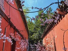 -潭柘寺景区