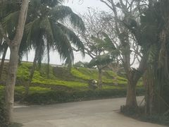 -呀诺达热带雨林
