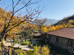 -北京水岸山吧度假村(雁栖镇店)