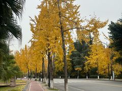-四川大学(江安校区)