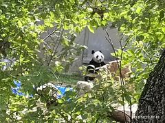 -沈阳森林动物园