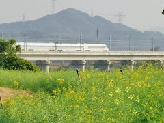 -光明小镇欢乐田园