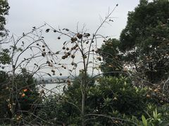 -张公山寨景区